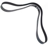 Drive Belt - V8 - No Air Con - From Engine 40D09582B