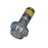 Brake Caliper Bolt - Front - M16 x 45mm